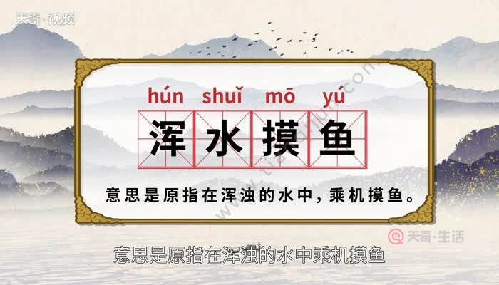什么是浑水(什么是浑水摸鱼的意思)