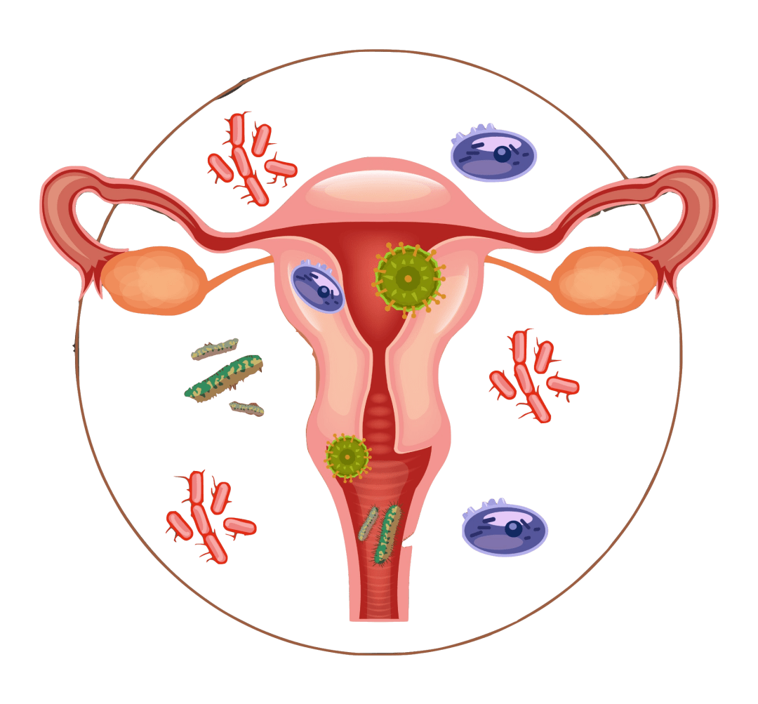 什么阴首(什么阴房填空一个字)