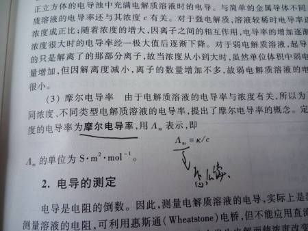 率还念什么(率念什么音)