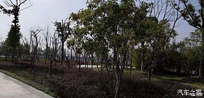 排空是什么意思(浊浪排空是什么意思)