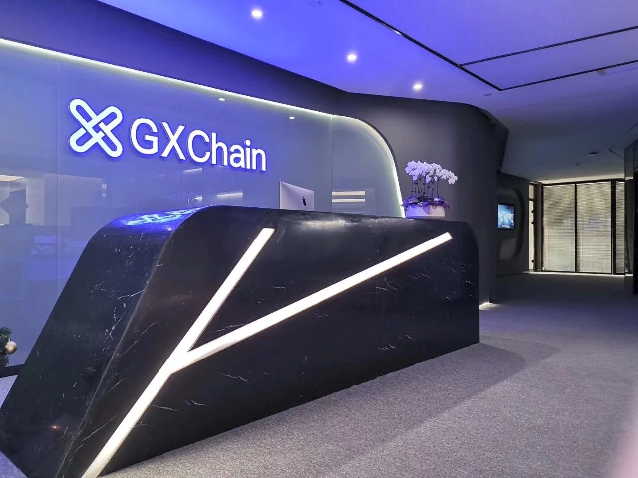 k网交易所官网(kucoin交易所官网)