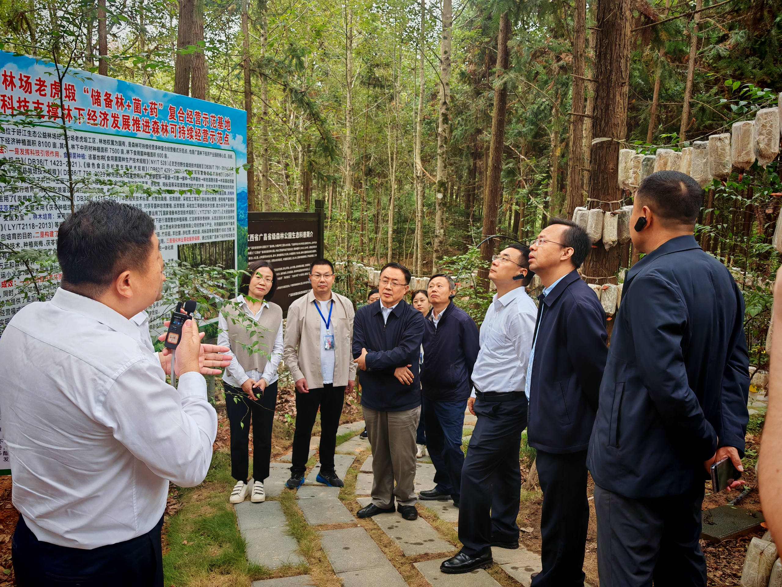 什么是林改(什么是林改房)