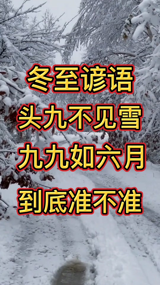 99的含义是什么(99的深层含义)