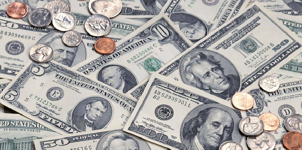 美元是什么样子的(美元是什么样子的图片,巨齿鲨是)