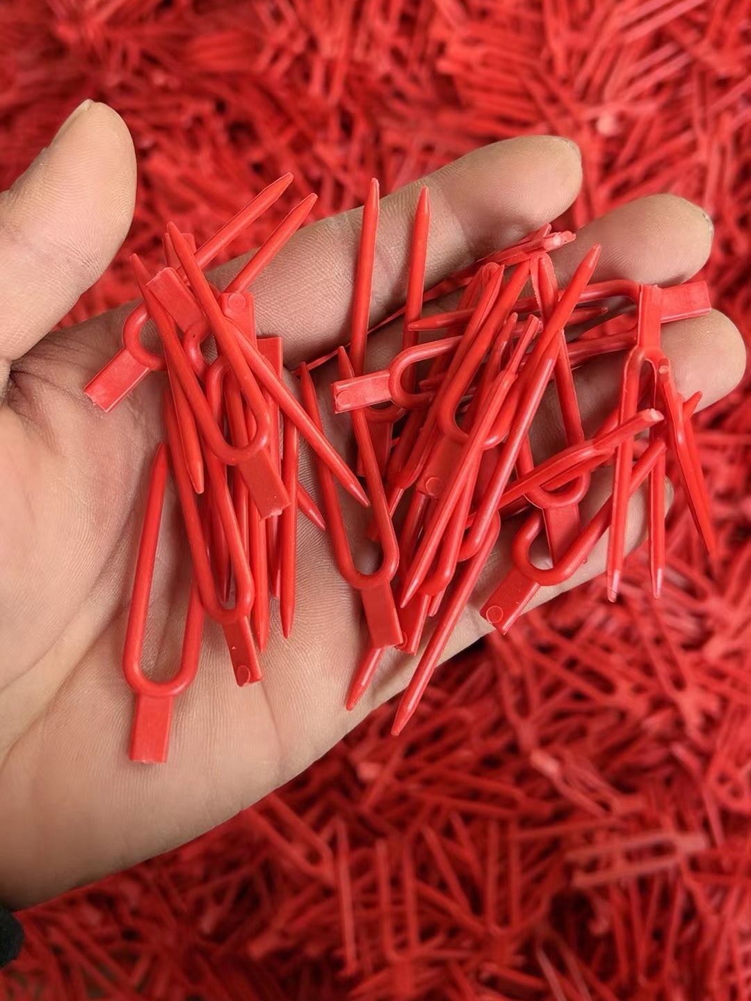 叉股是什么(叉子股兰图片)