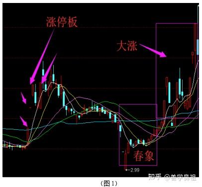 什么是强股(什么是强庄股)