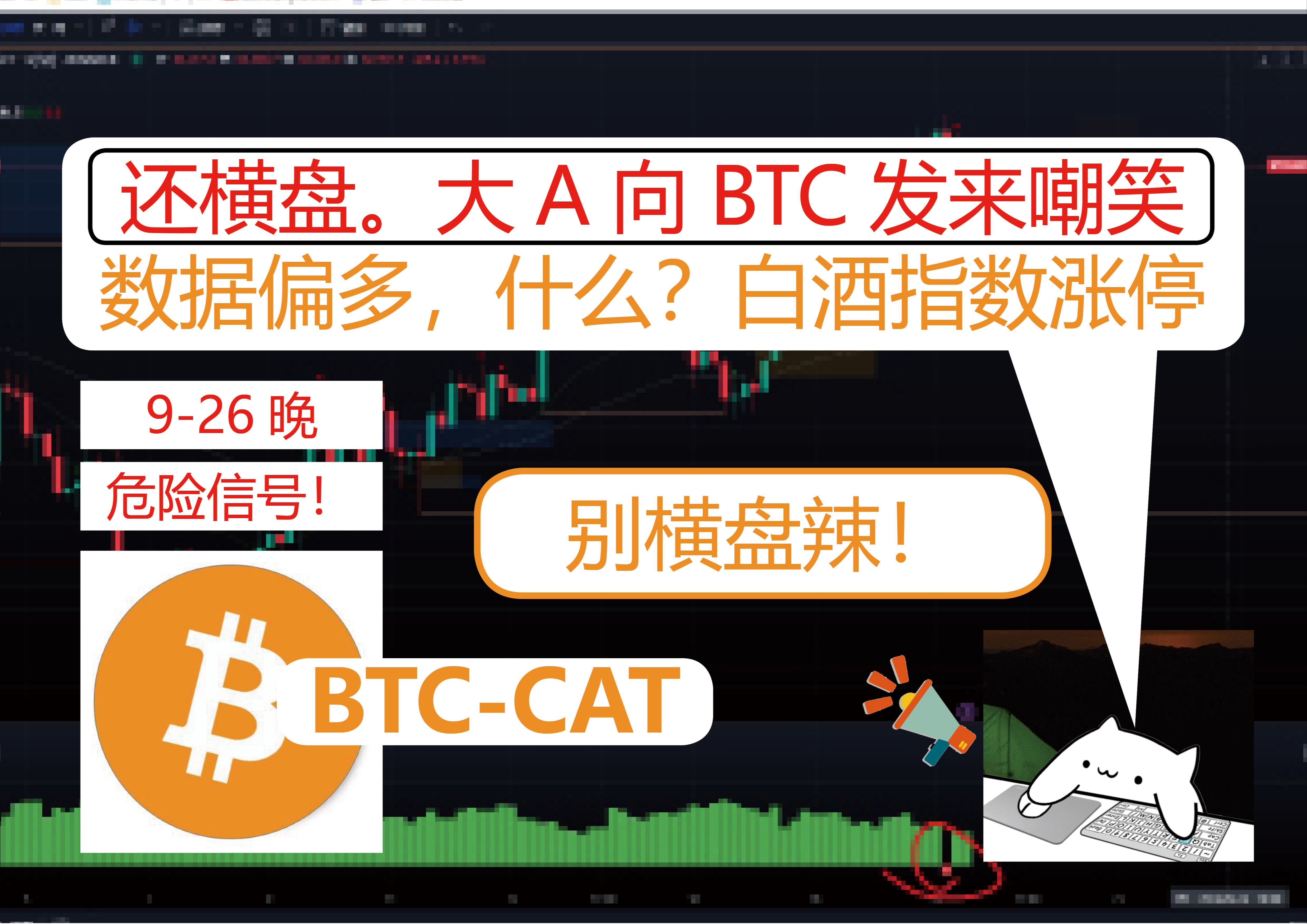 btc地址(BTC地址usdt转入交易所btc地址)