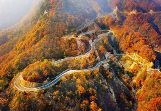 红岭是什么(红岭是什么形)