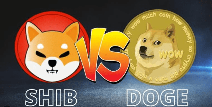 屎币官网地址(屎币在哪个交易所)