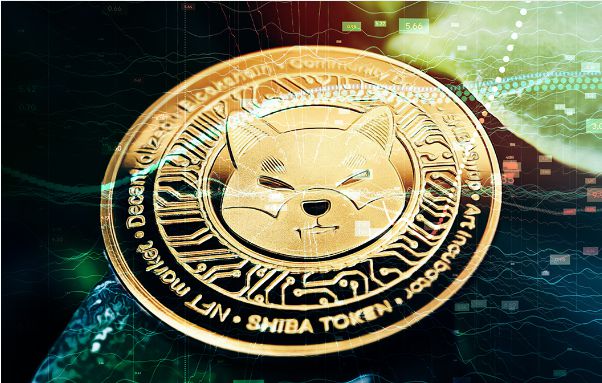 shib行情(shib实时价格行情)