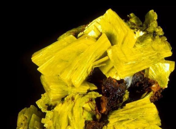 铀有什么(铀有什么作用和意义)