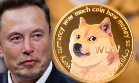 狗币官网下载(doge狗狗币官方下载) 狗币官网下载(doge狗狗币官方下载)