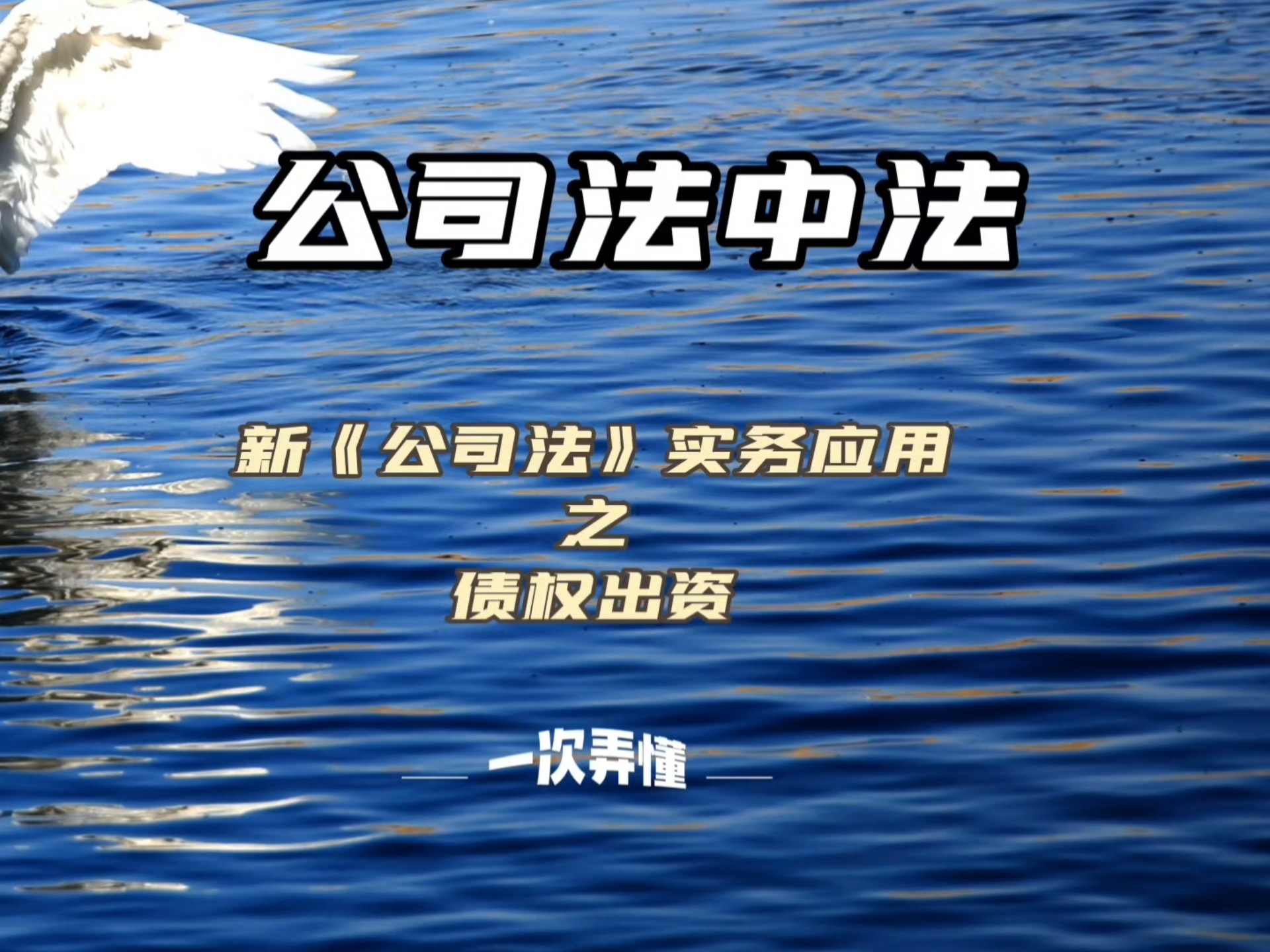 什么是出资(什么是出资人)