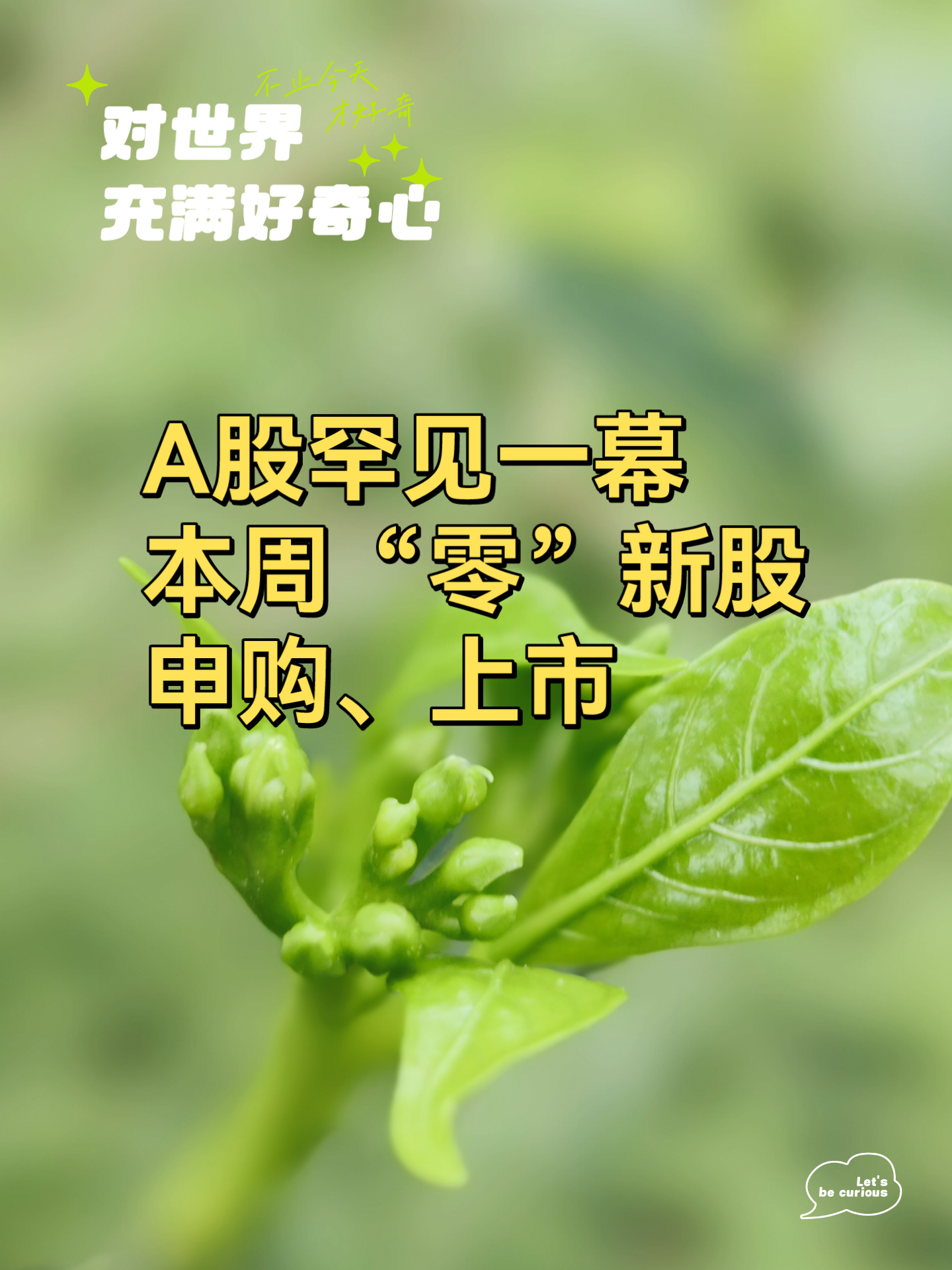 申购为什么是0(申购为什么是废单)