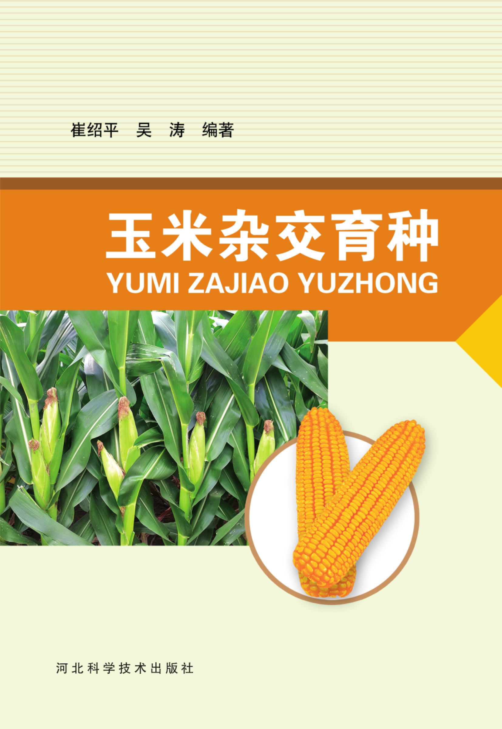 玉米单位是什么(玉米的量词单位是什么意思)