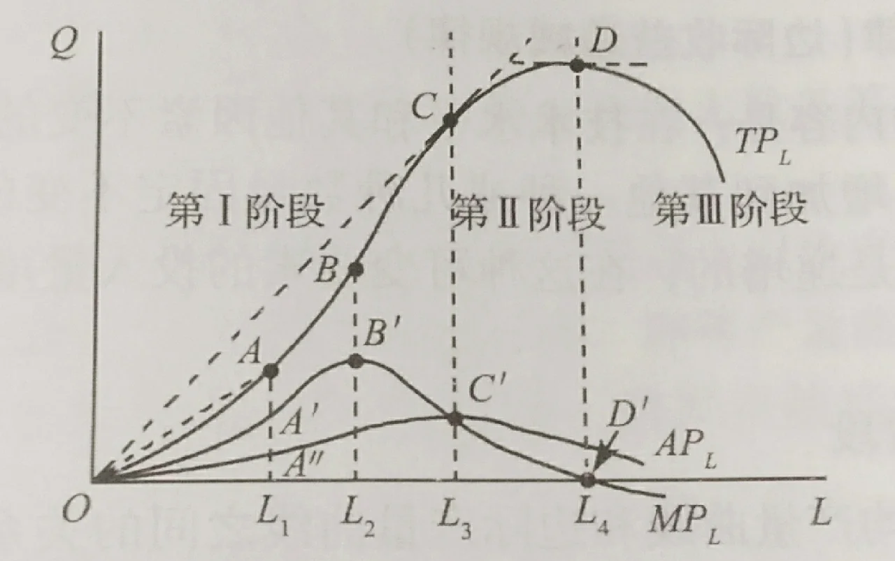 斜率什么时候学(斜率是什么时候学的初中还是高中)