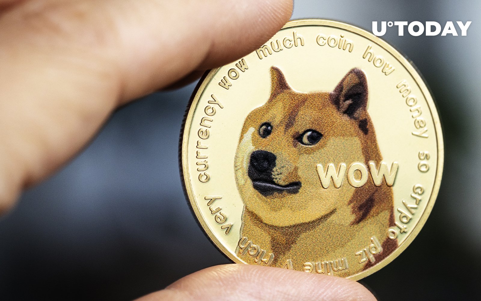 dogecoin币官网(doge币简介)