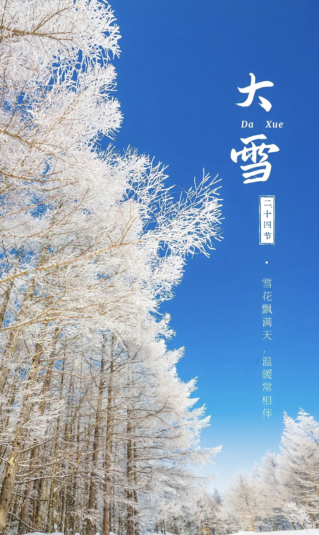 深冬是什么意思(深冬是几月份到几月份)