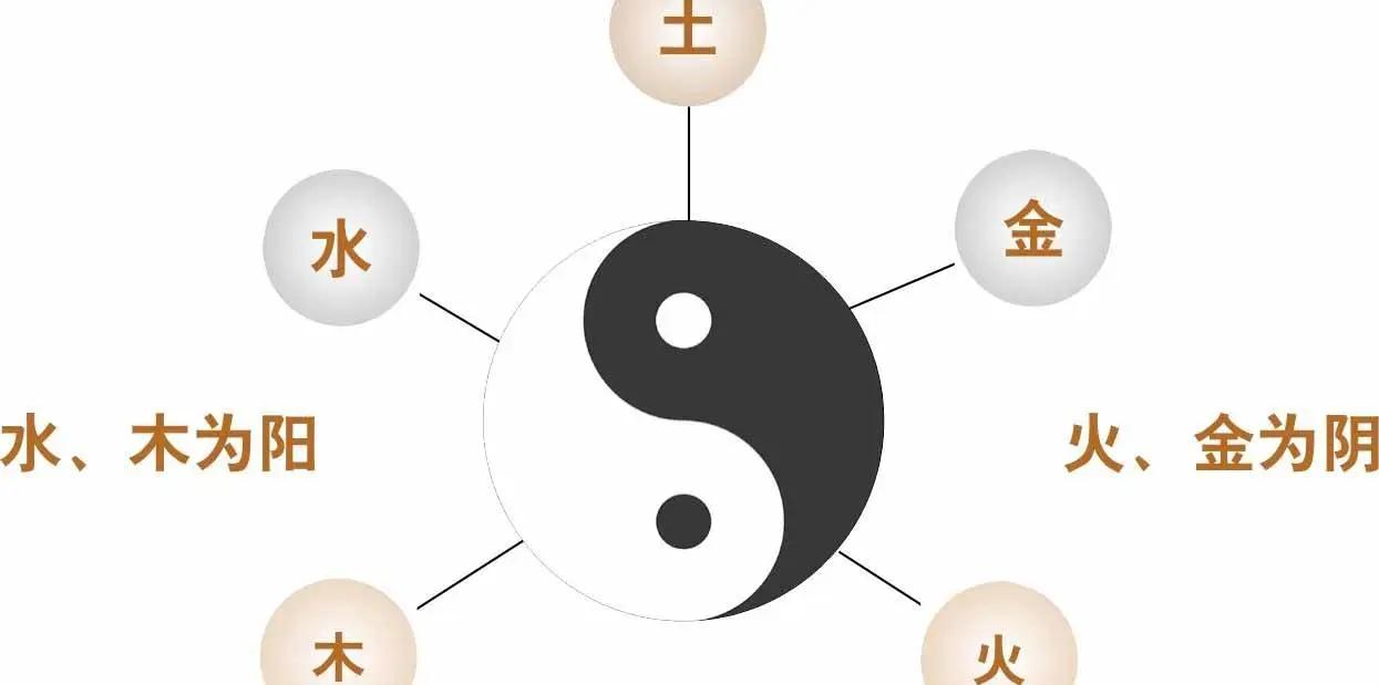 什么是木金(什么是木金组合)