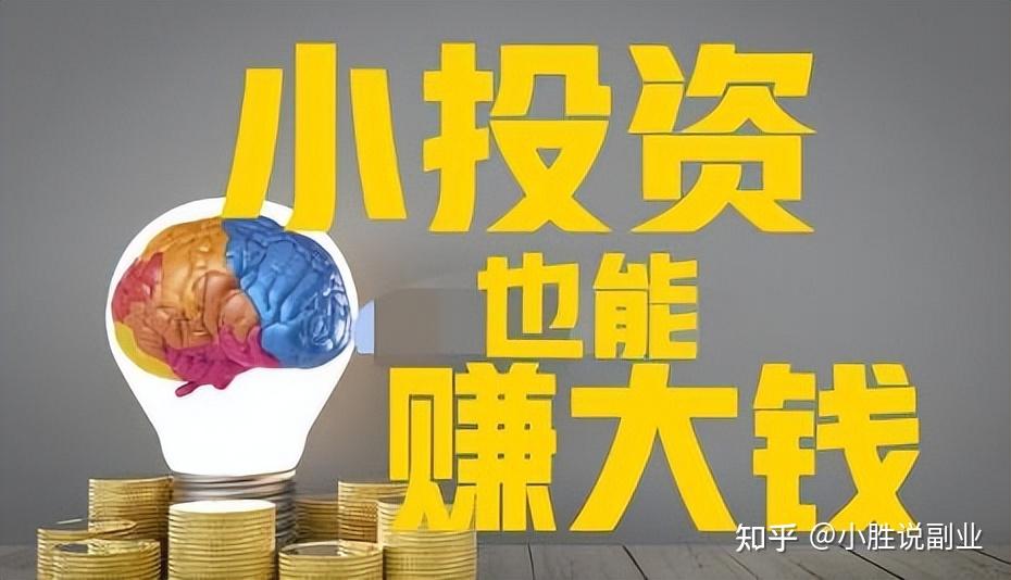 有什么小投资的项目(有什么小投资的项目好做)
