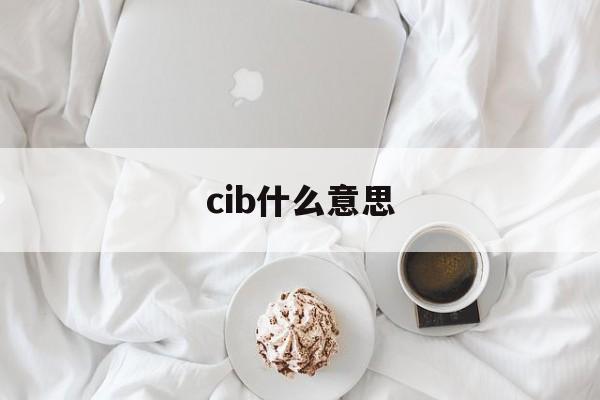 cib什么意思(CIBD是什么意思)